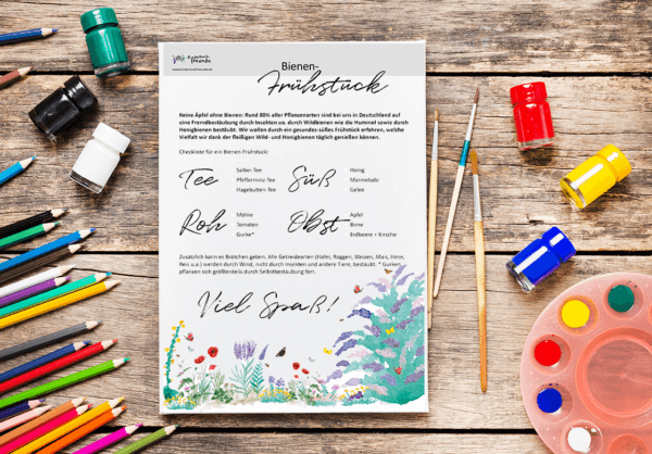 KITA-Paket "Hummel-Liebe" – Bild 4