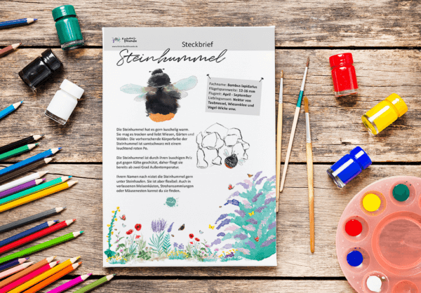 KITA-Paket "Hummel-Liebe" – Bild 2